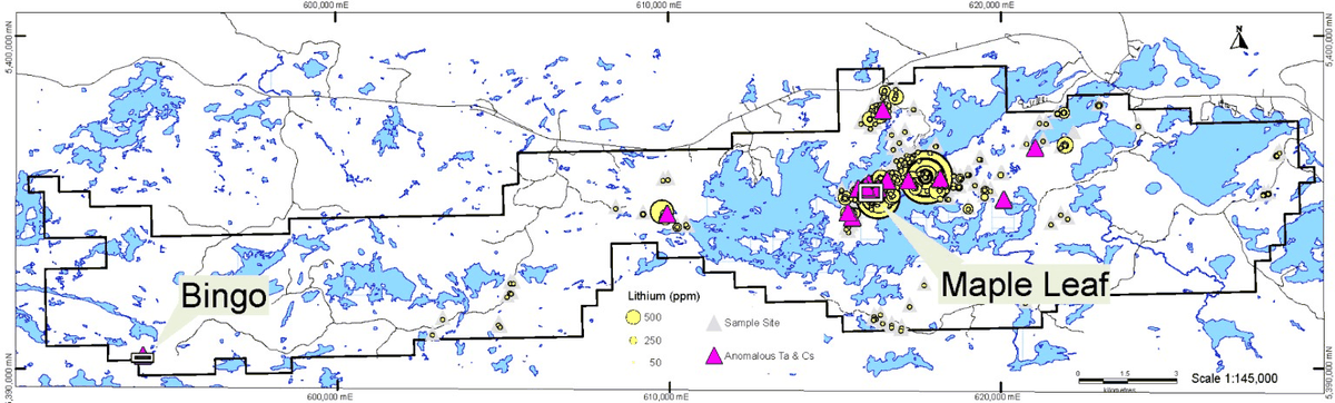 White Willow property map showing lithium anomalies across the Bingo and Maple Leaf showings, Thunder Bay South Mining District, Ontario