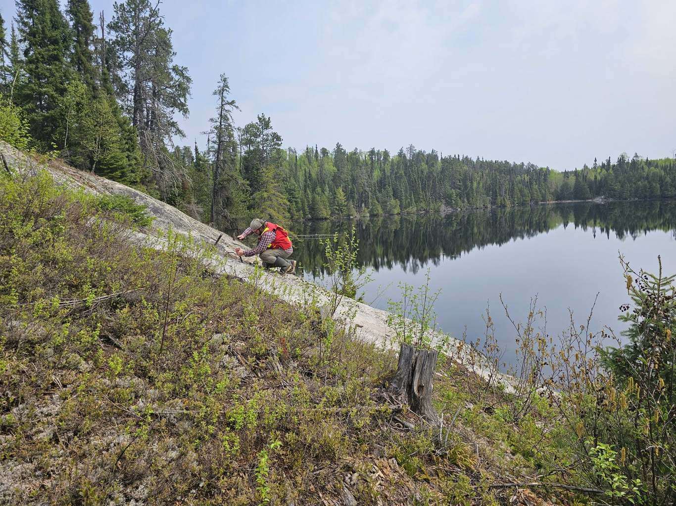 A geologist in a high-visibility red vest crouching to sample a light-grey granitic outcrop at the edge of a calm, forest-lined boreal lake
