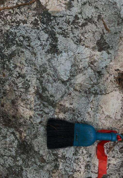 A grey and white weathered pegmatite outcrop surface with a blue-handled geologist's brush and a strip of red flagging tape