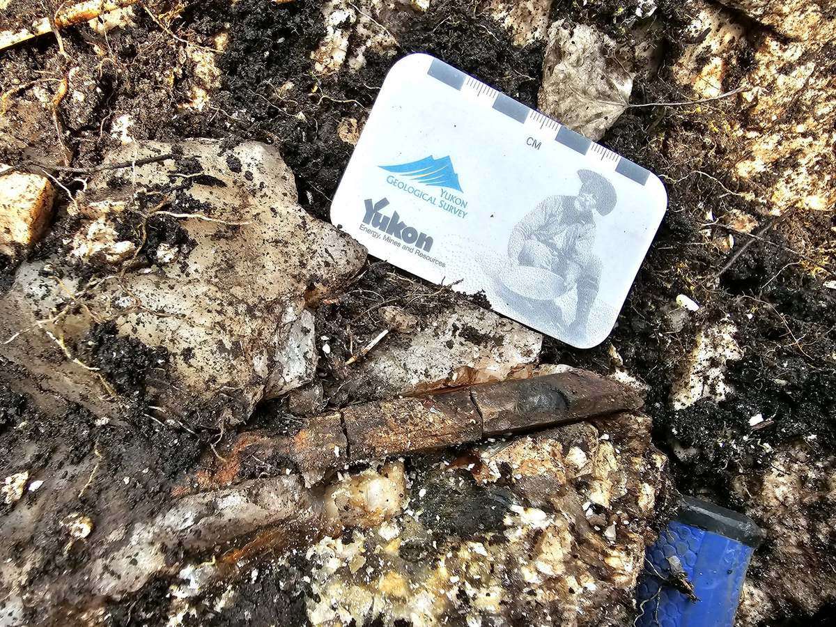 Pegmatite outcrop at White Willow photographed with a scale card for size reference