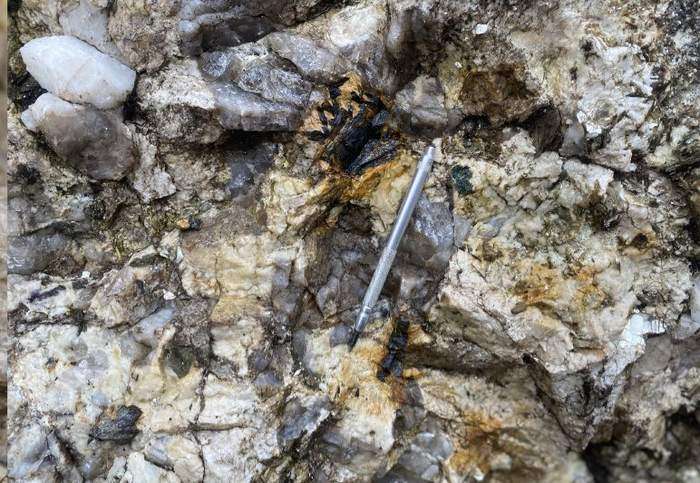 Coarse-grained pegmatite outcrop with dark black tantalite crystals and pale feldspar and quartz, a mechanical pencil placed for scale